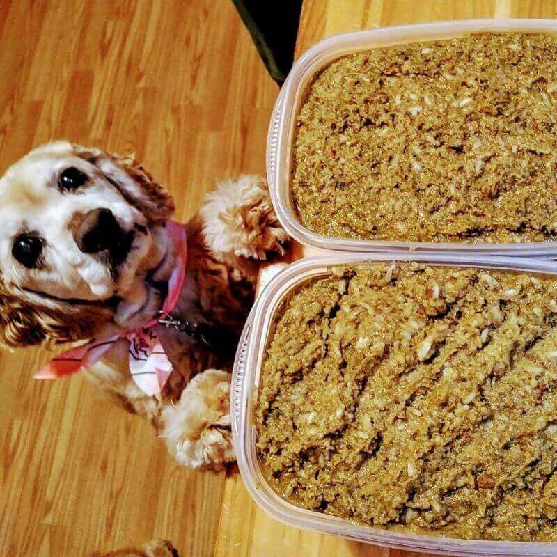The Original Crockpet Diet™ Ebook and Recipes