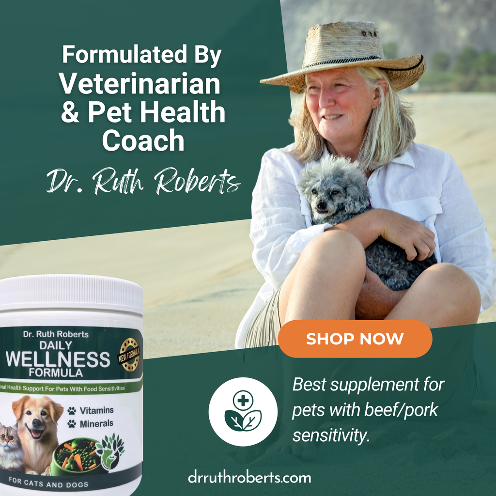 PRE-ORDER Daily Wellness Formula — Glandular-Free Multivitamin for Dogs & Cats with Beef, Pork, or Organ Sensitivities