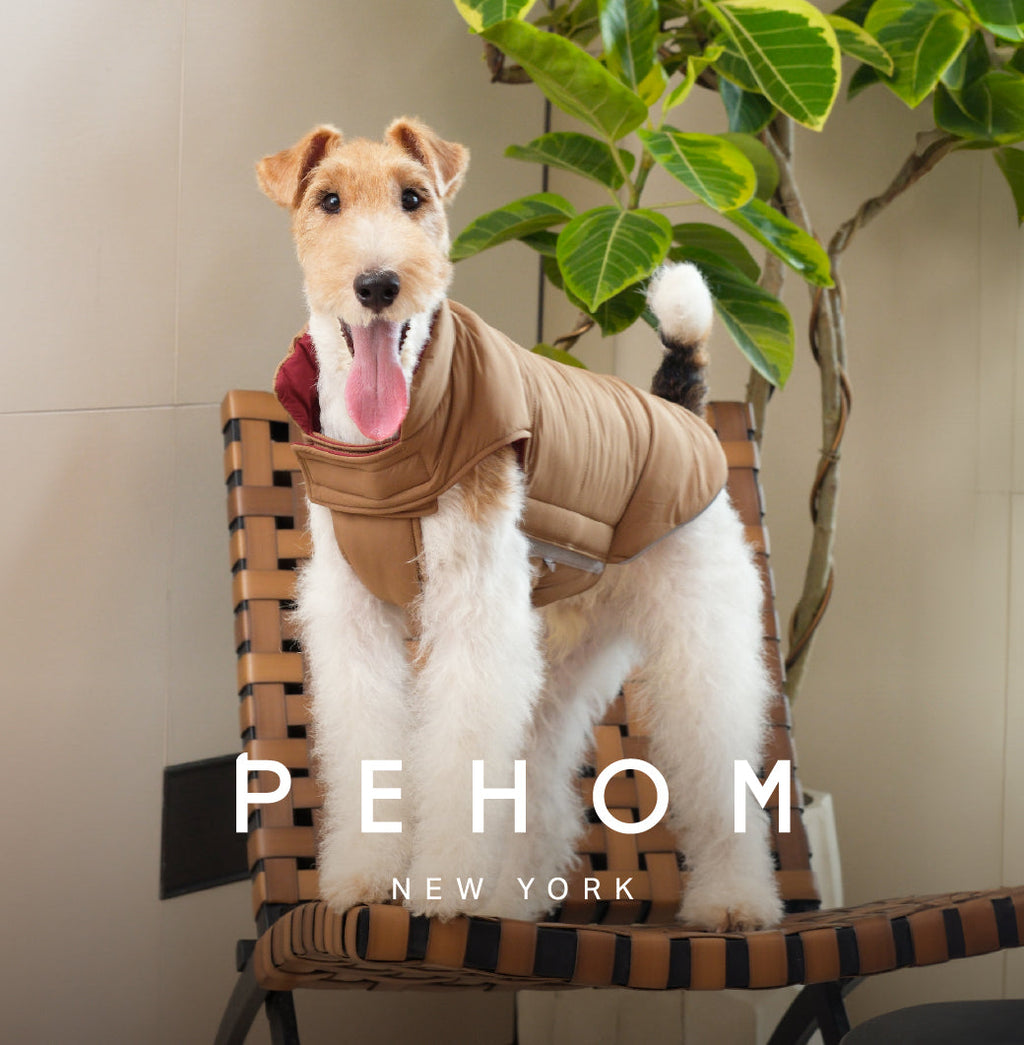 Reversible Dog Vest Jacket -  Red Brown
