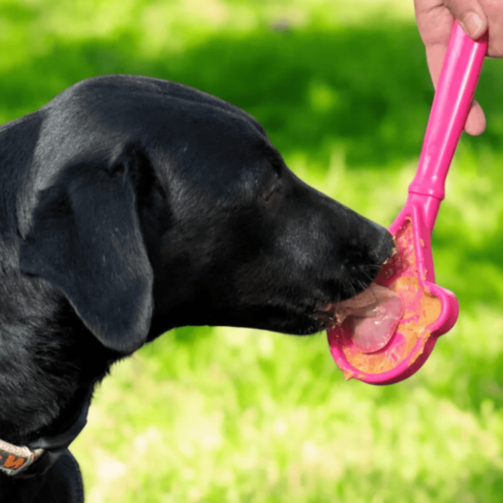 Lick Sticks | Interactive Dog Training Toy