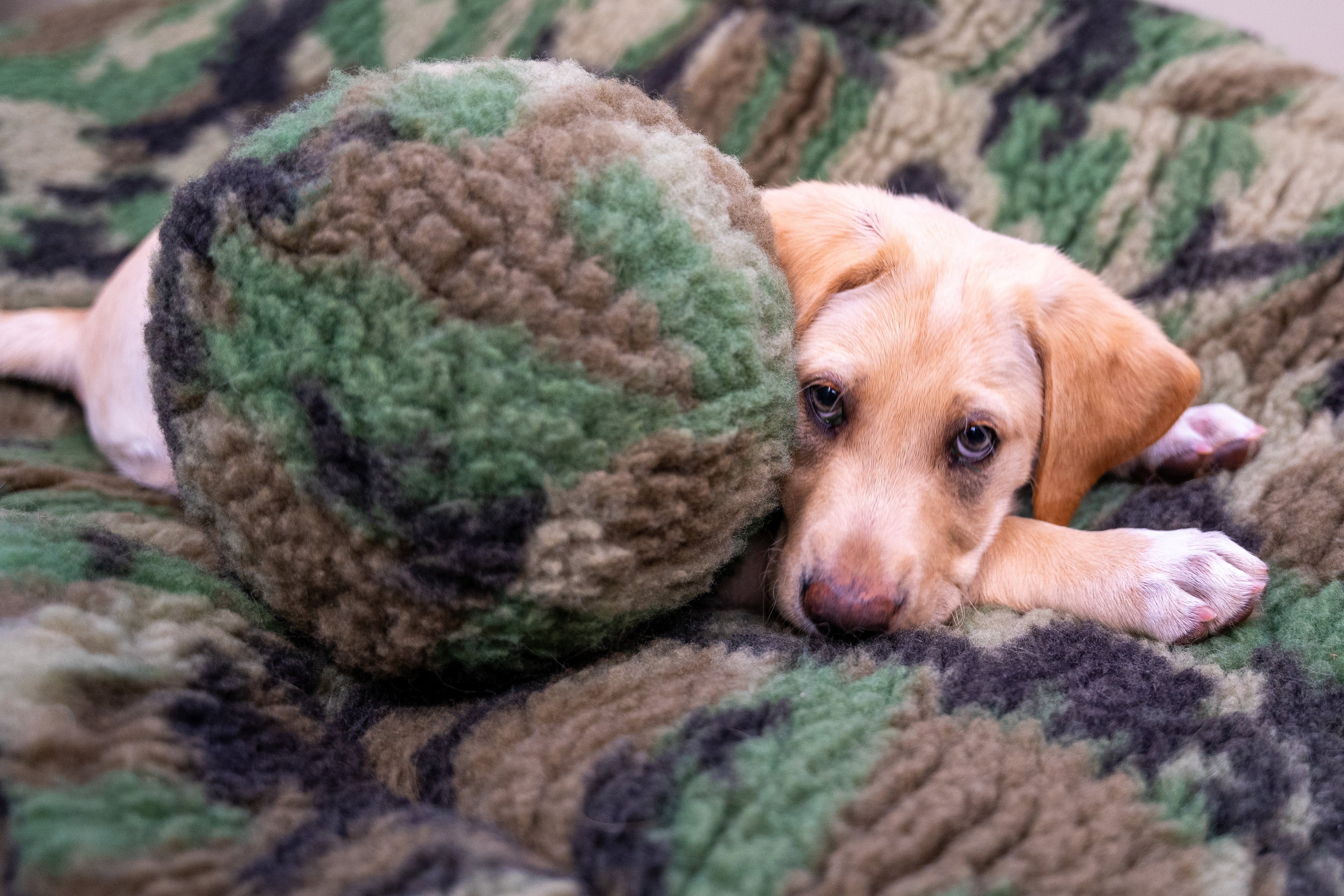 HuggleCause™, Warrior Canine Connection, Camouflage HuggleFleece® Plush Ball Dog Toy