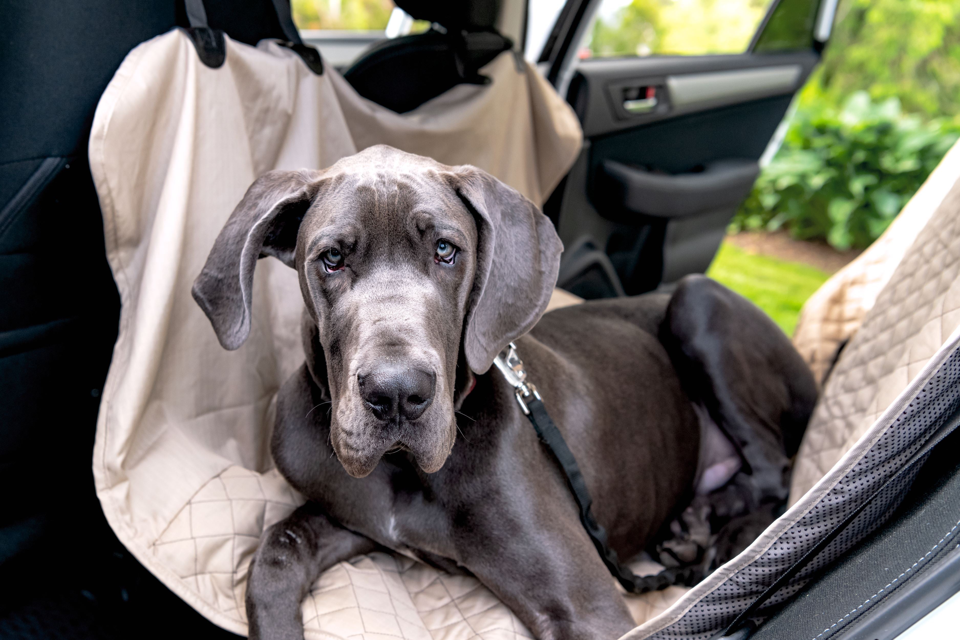 TuffutLuxx® Vehicle Protectors for Travel