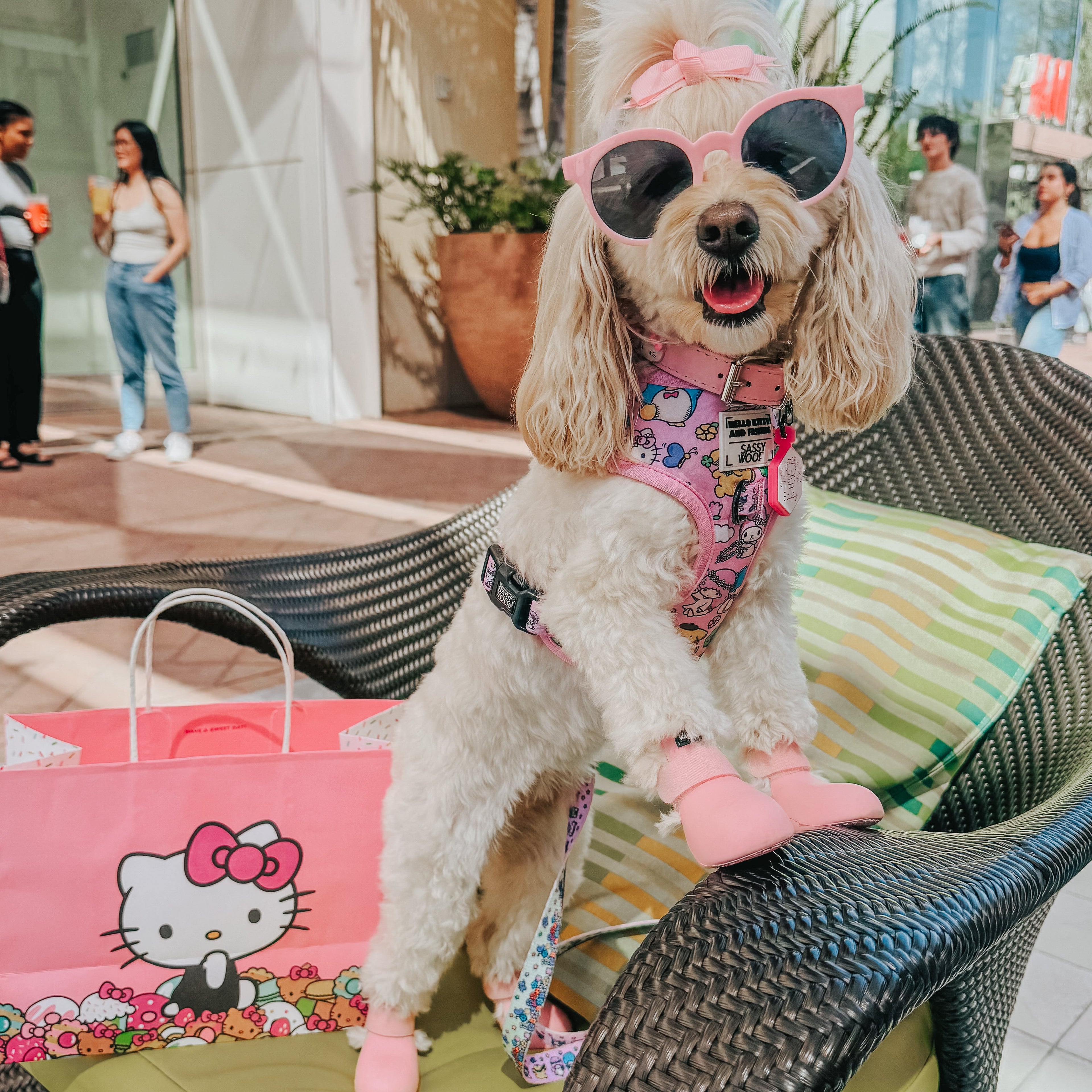 Dog Two Piece Bundle - Hello Kitty® & Friends Flower Festival