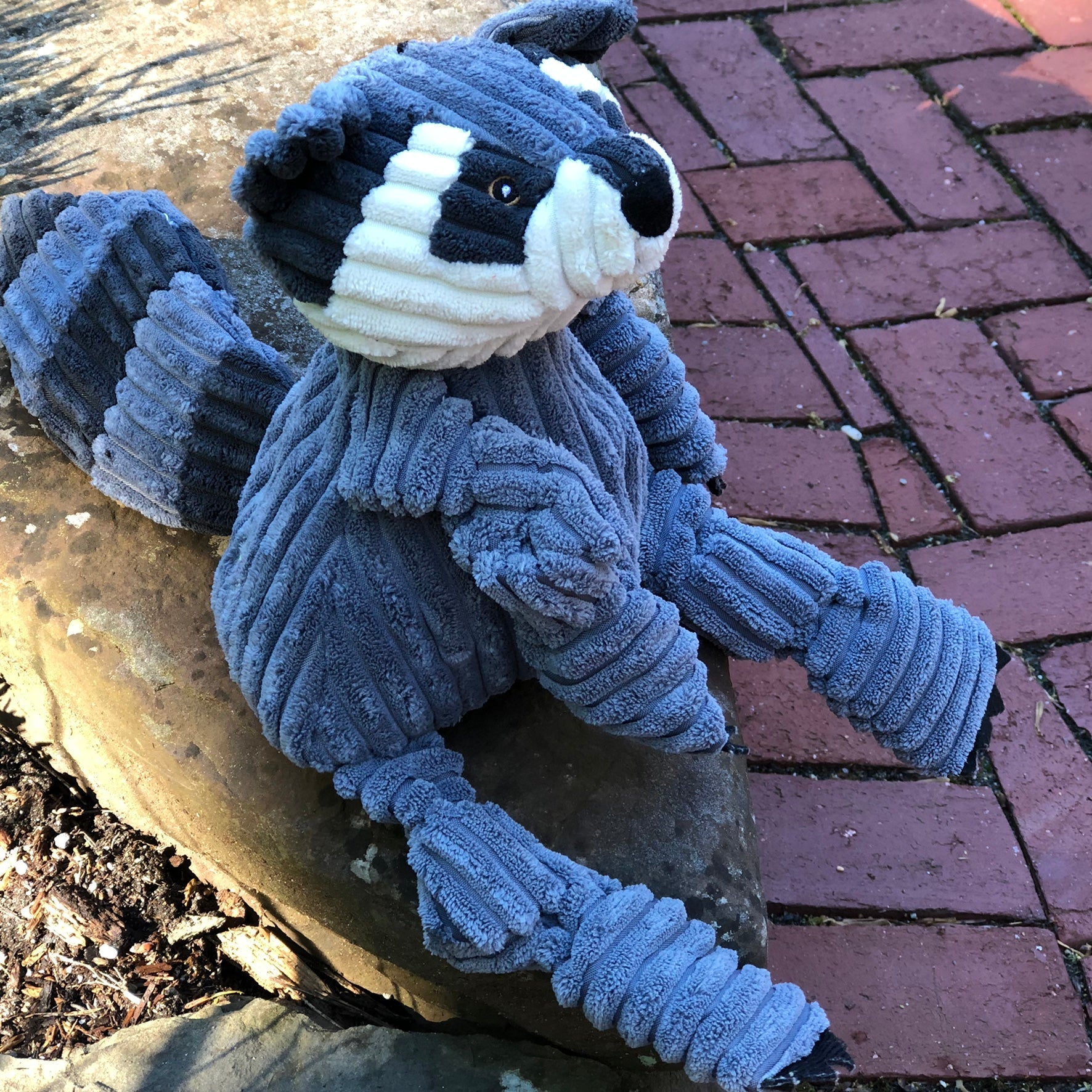 Reggie Raccoon Knottie® Plush Dog Toy