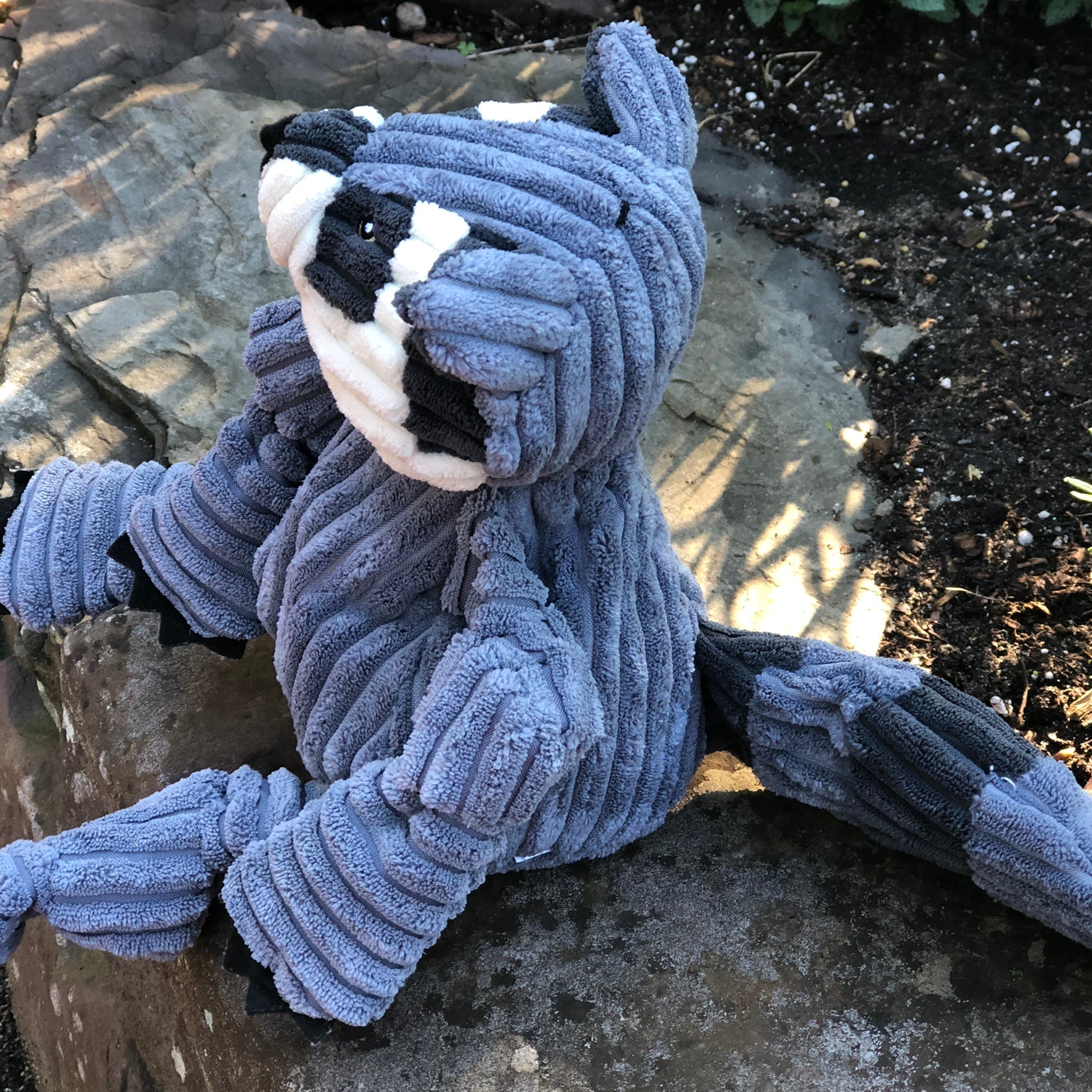 Reggie Raccoon Knottie® Plush Dog Toy