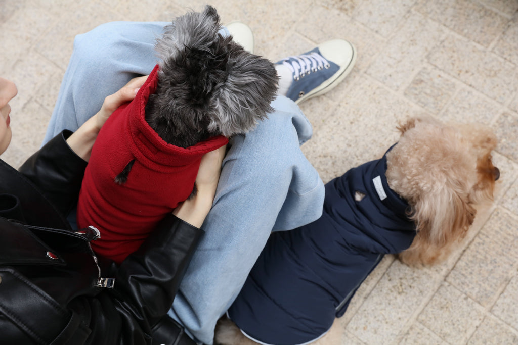 Reversible Dog Vest Jacket - Red