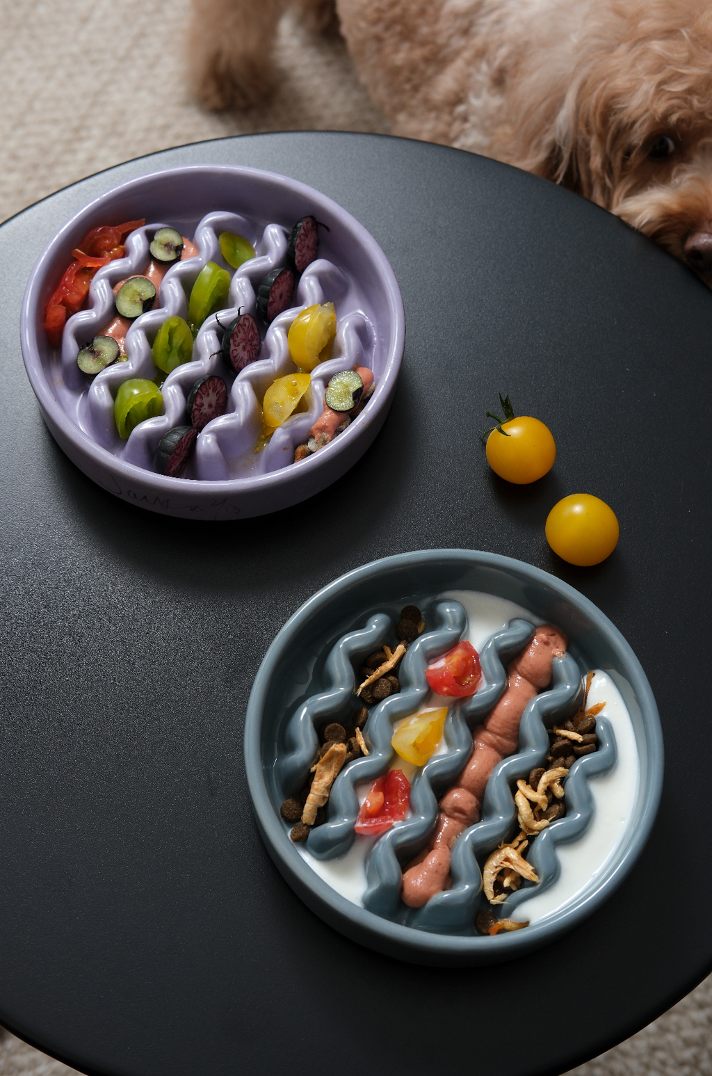 [Macaroni] Slow Feeder Dog Bowls - Yellow / Frozen Blue / Purple