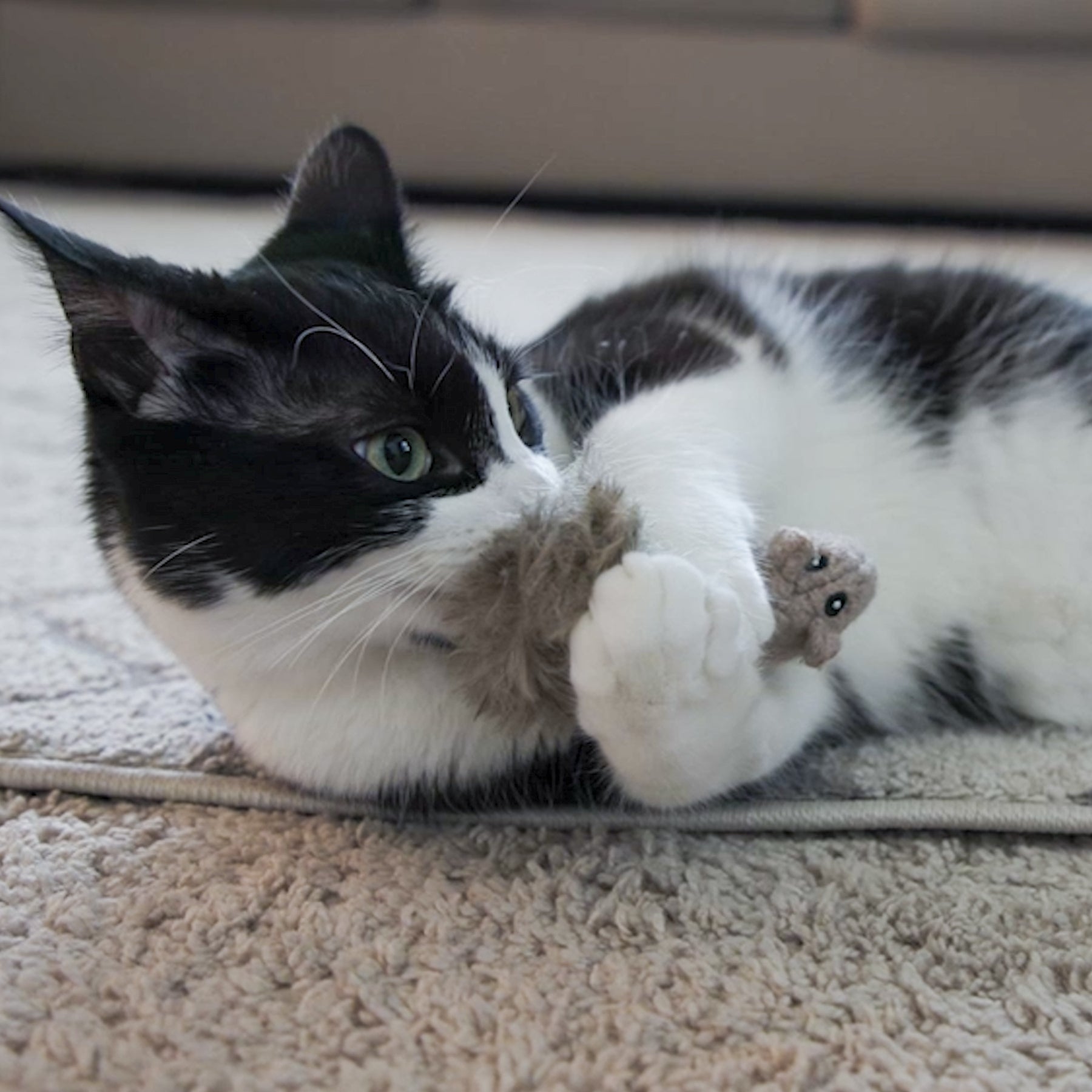 HuggleKats® Wee Fellar Squirrelie Cat Toy