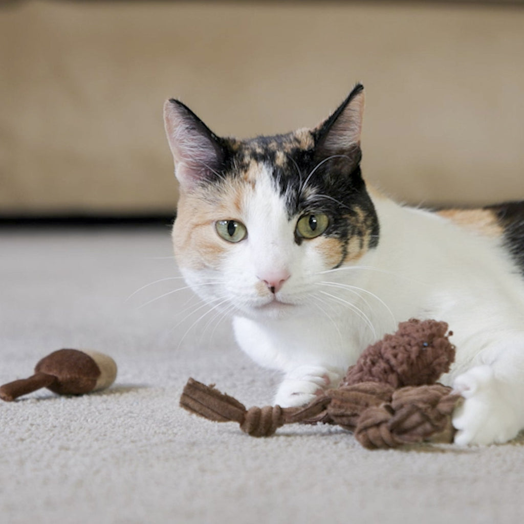 HuggleKats® Wee Chippie and His Acorn Cat Toy Set